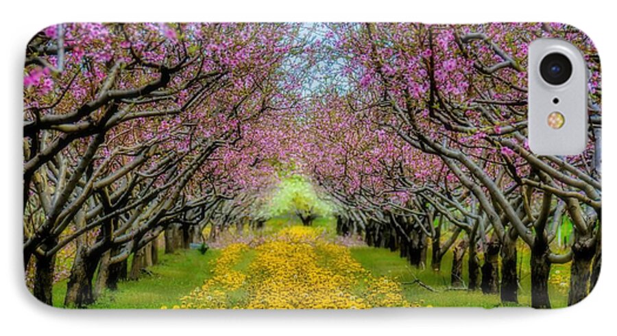 Spring iPhone 7 Case featuring the photograph Peach Blossoms Dandelion Carpet by Henry Kowalski