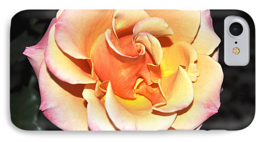 Flower iPhone 7 Case featuring the photograph Peaches And Cream With A Dolop Of Lemon by Jay Milo