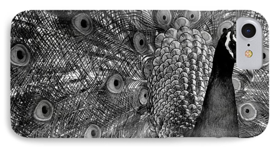 Nature iPhone 7 Case featuring the photograph Peacock BW by Ron White
