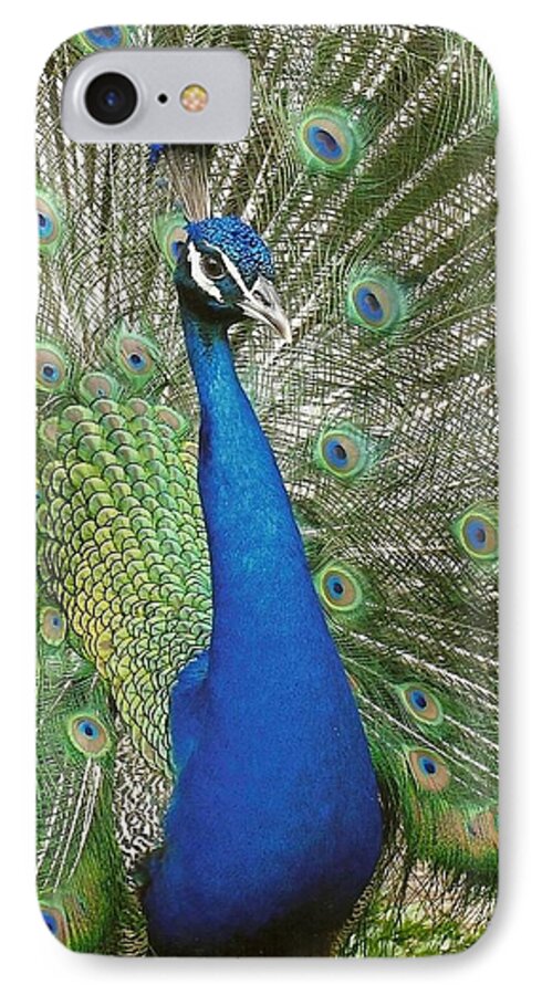 Peacock iPhone 7 Case featuring the photograph Peacock Waltz by Ella Kaye Dickey