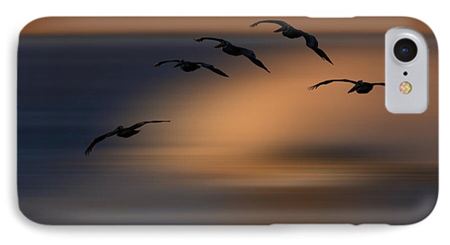Orias iPhone 7 Case featuring the photograph Pelican Blur 73A2324 by David Orias
