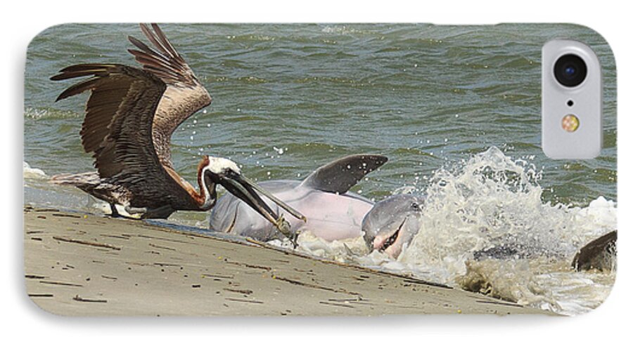 Pelican iPhone 7 Case featuring the photograph Pelican Steals the Fish by Patricia Schaefer