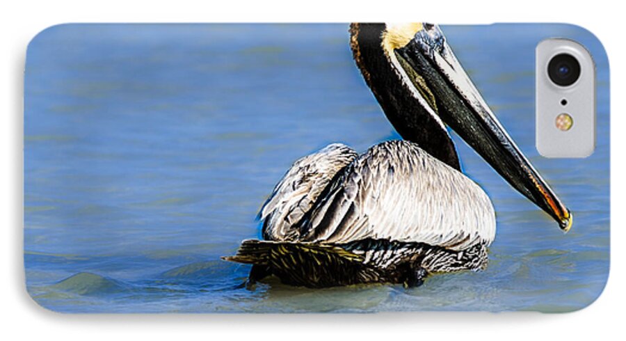 Pelican iPhone 7 Case featuring the photograph Pelican Swimming by Tammy Ray