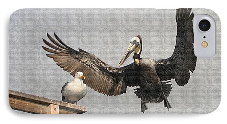 Pelican Wins iPhone 7 Case featuring the photograph Pelican Wins Sea Gull Looses by Tom Janca