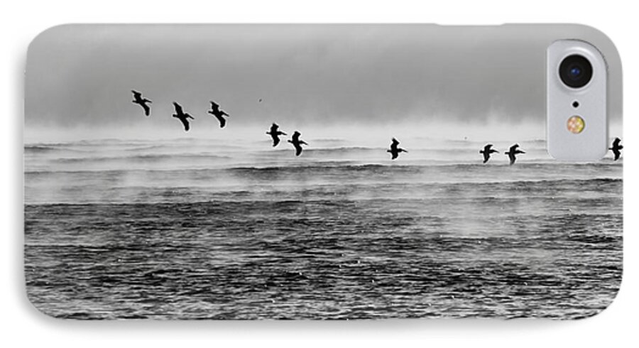 Pelicans iPhone 7 Case featuring the photograph Pelicans In The Mist by Lynda Dawson-Youngclaus
