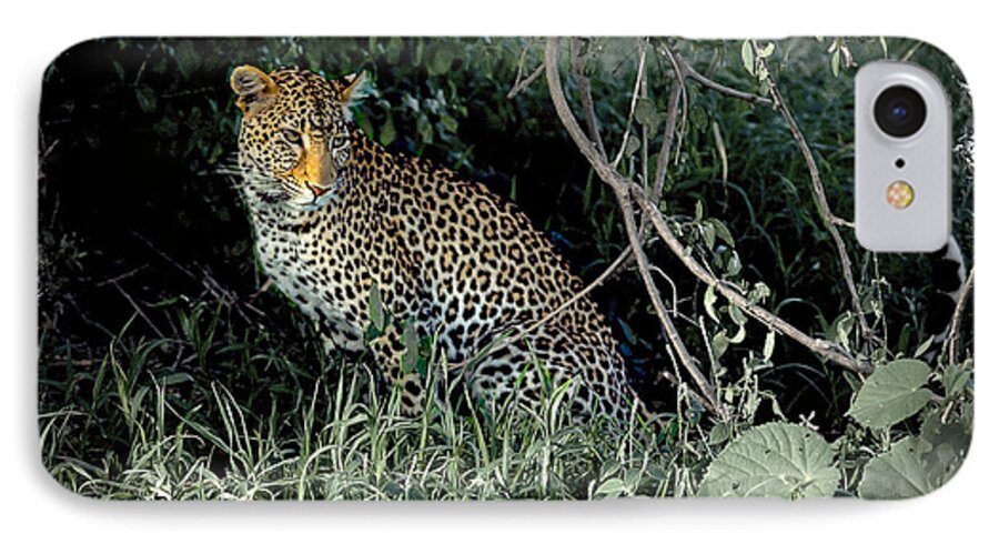 Africa iPhone 7 Case featuring the photograph Pensive Leopard by Randy Green