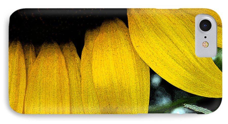 Nature iPhone 7 Case featuring the photograph Petals by Ricardo Dominguez