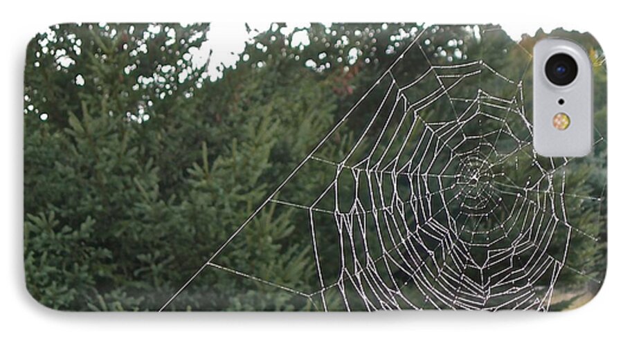 Spiders iPhone 7 Case featuring the photograph Pining for the Web by Randy Rosenberger