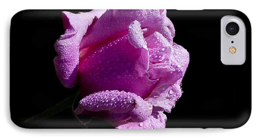 Rose iPhone 7 Case featuring the photograph Pink Delight by Doug Norkum