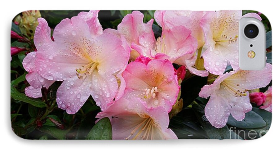 Pink Flowers iPhone 7 Case featuring the photograph Pink Flowers by Rose Wang