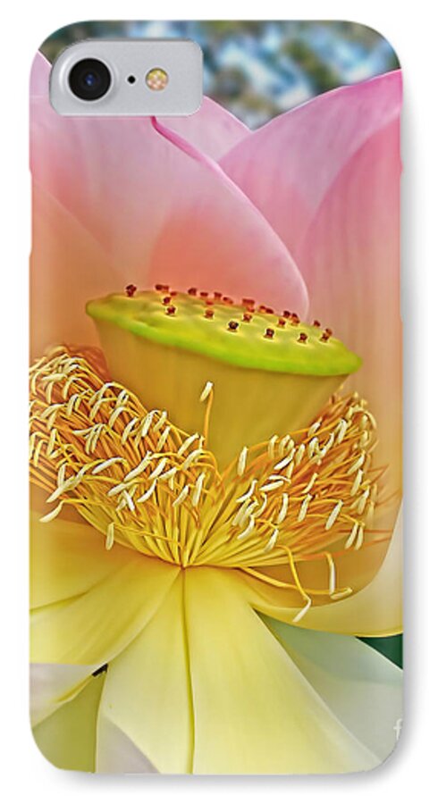 Photography iPhone 7 Case featuring the photograph Pink Lotus Lily by Kaye Menner