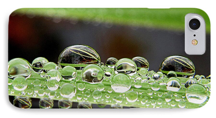 Water Drops iPhone 7 Case featuring the photograph Plant Drops by Suzy Piatt