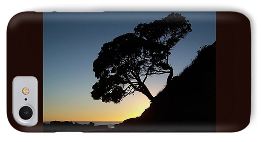 New Zealand iPhone 7 Case featuring the photograph Pohutukawa Trees at Sunrise by Peter Mooyman
