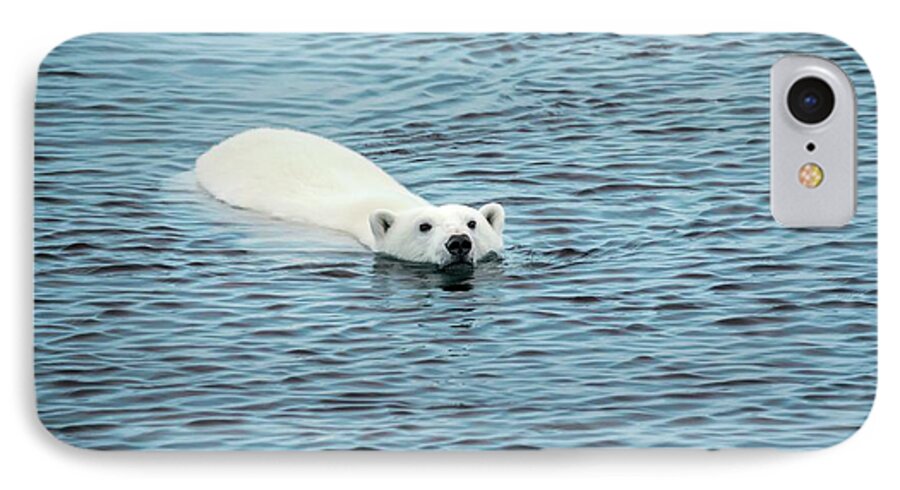 1 iPhone 7 Case featuring the photograph Polar Bear Swimming by Peter J. Raymond