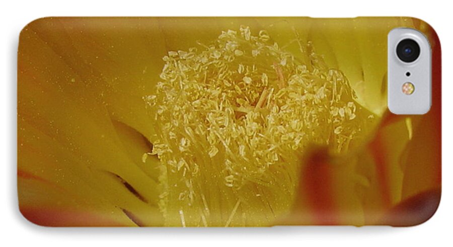 Desert iPhone 7 Case featuring the photograph Pollen by Fred Sheridan
