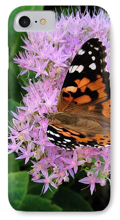 Nature iPhone 7 Case featuring the photograph Poor Butterfly by Photographic Arts And Design Studio