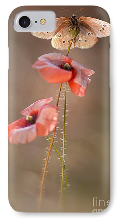 Flower iPhone 7 Case featuring the photograph Poppies #1 by Jaroslaw Blaminsky