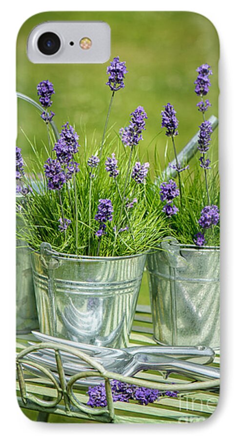 Lavender iPhone 7 Case featuring the photograph Pots Of Lavender by Amanda Elwell