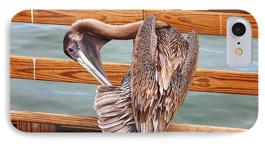 Preen iPhone 7 Case featuring the photograph Preening by Ginny Schmidt