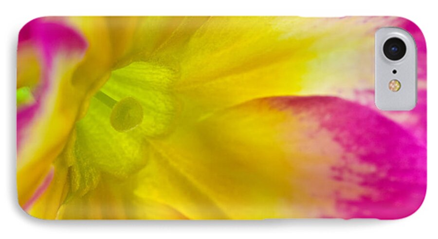 Nature iPhone 7 Case featuring the photograph Primrose Glow by Joan Herwig