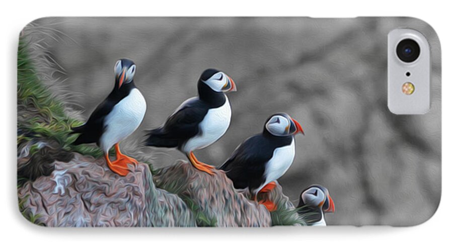 Puffin iPhone 7 Case featuring the photograph Puffins by Veli Bariskan
