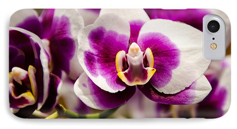 Orchid iPhone 7 Case featuring the photograph Purple Beauty by Penny Lisowski