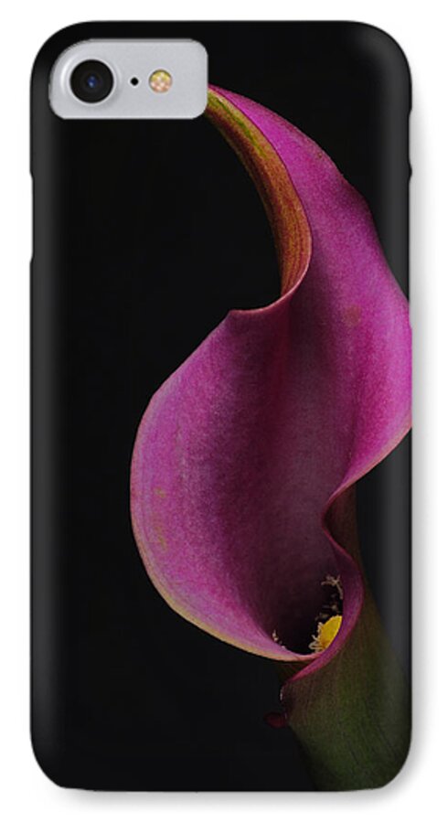 Lily iPhone 7 Case featuring the photograph Purple Calla Lily by Catherine Lau