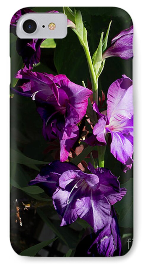 Purple Iris iPhone 7 Case featuring the photograph Purple Iris by M Three Photos