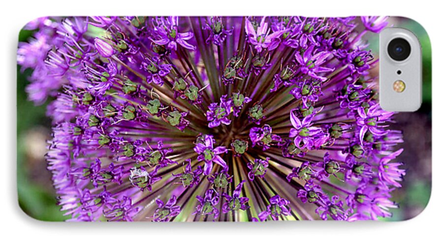 Allium iPhone 7 Case featuring the photograph Purple Sensation Allium by Deena Stoddard