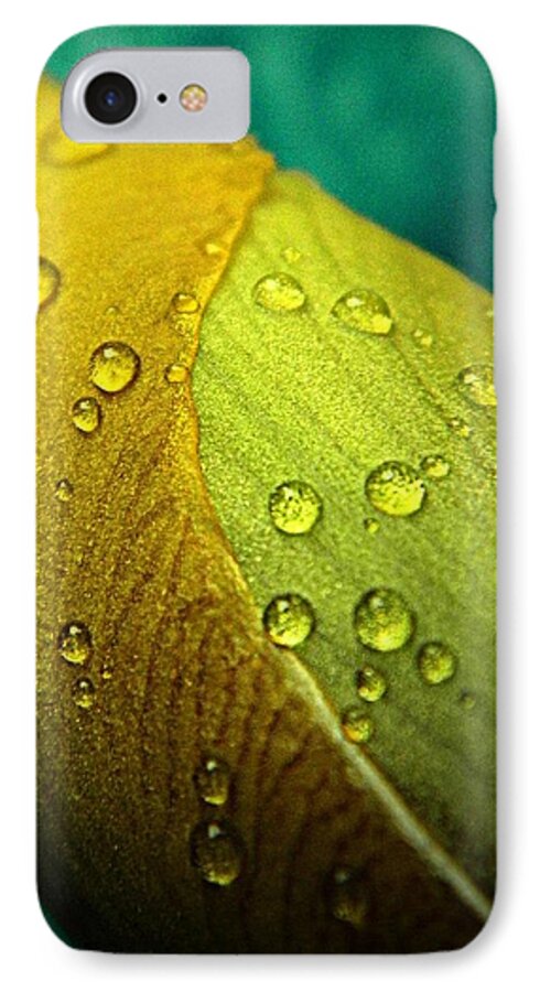 Nature iPhone 7 Case featuring the photograph Rain Wrapped by Chris Berry