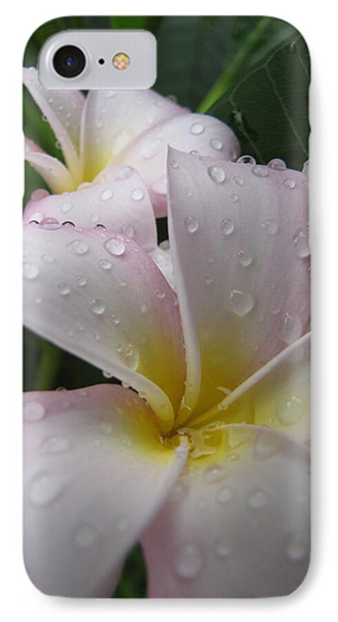 Plumeria iPhone 7 Case featuring the photograph Raindrops by Beth Vincent