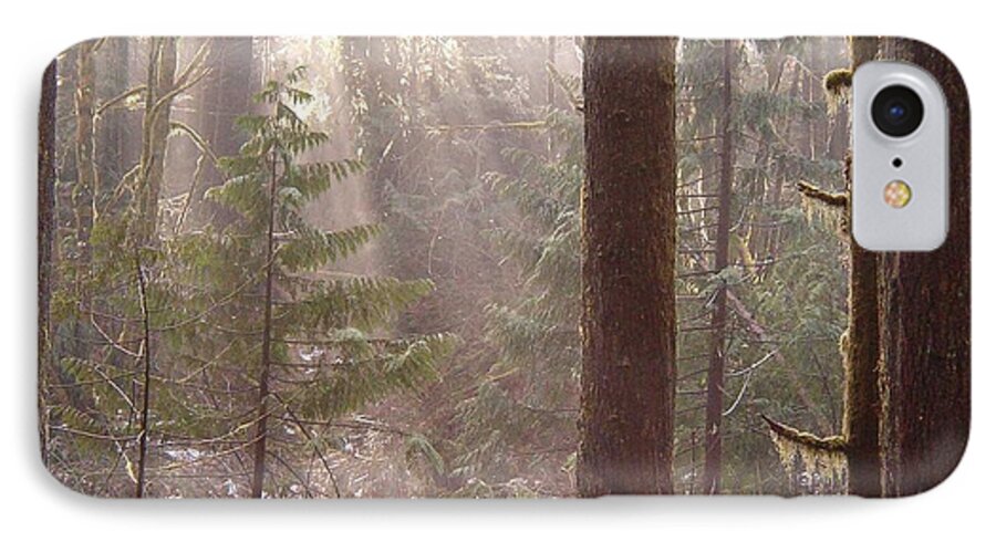 Forest iPhone 7 Case featuring the photograph Rays of Light in Forest by Myrna Walsh