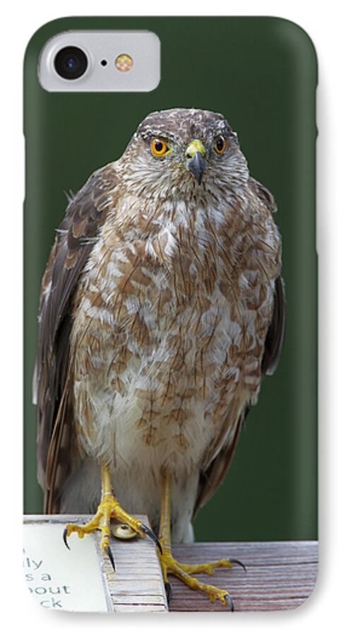 Nature iPhone 7 Case featuring the photograph Read Where I'm Pointing At by Gerry Sibell