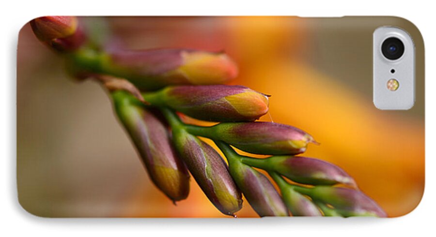Red iPhone 7 Case featuring the photograph Red Buds Macro by Bob VonDrachek