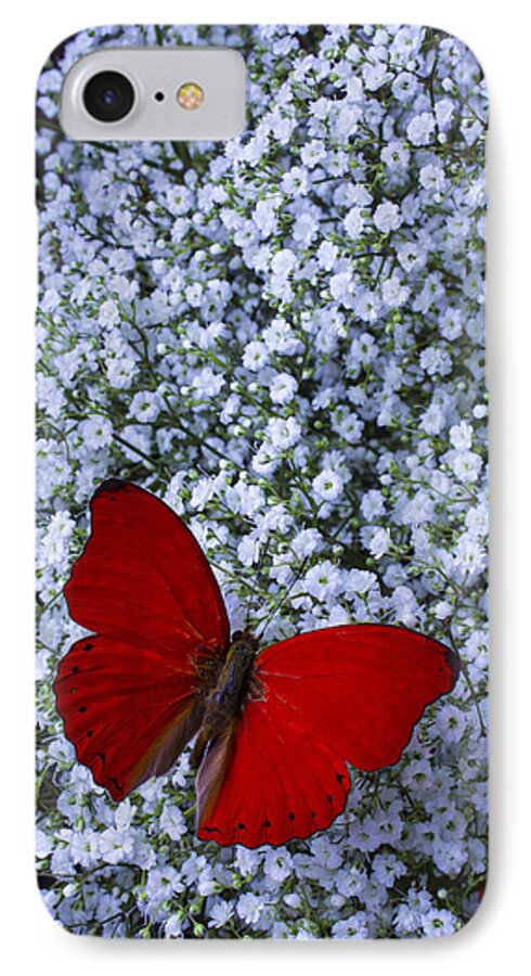 Red Butterfly iPhone 7 Case featuring the photograph Red butterfly and Baby's Breath by Garry Gay