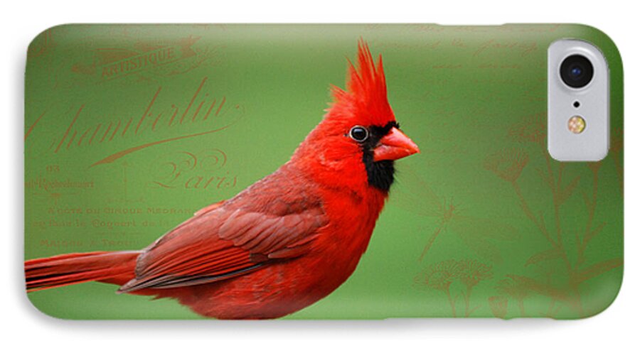 Red Bird iPhone 7 Case featuring the photograph Red It Is by Linda Segerson