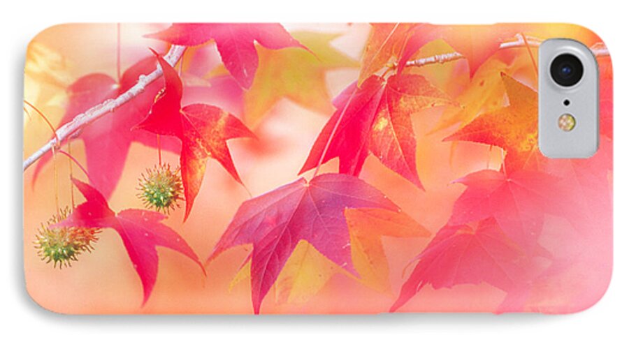 Photography iPhone 7 Case featuring the photograph Red Leaves With Backlit, Autumn by Panoramic Images