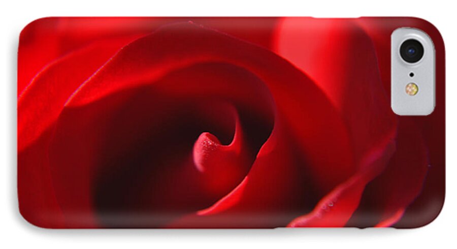 Red Rose iPhone 7 Case featuring the photograph Red Rose by Tikvah's Hope