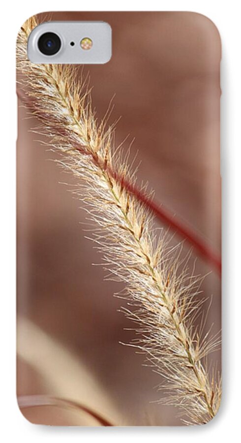Tall Grass iPhone 7 Case featuring the photograph Red Winds by Amy Gallagher