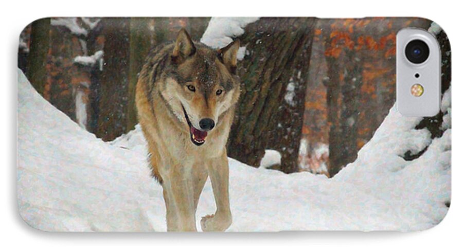 Animals iPhone 7 Case featuring the digital art Red Wolf on a Winter Hunt by Lianne Schneider