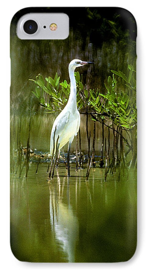 Nature iPhone 7 Case featuring the photograph Reddish Egret 9C by Gerry Gantt