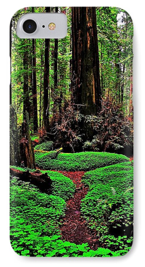 Redwood iPhone 7 Case featuring the photograph Redwoods Wonderland by Benjamin Yeager
