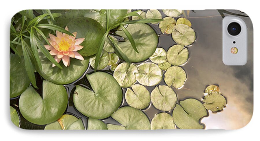 Water Lilies iPhone 7 Case featuring the photograph Reflected Light upon Flowering Water Lilies by Jason Politte