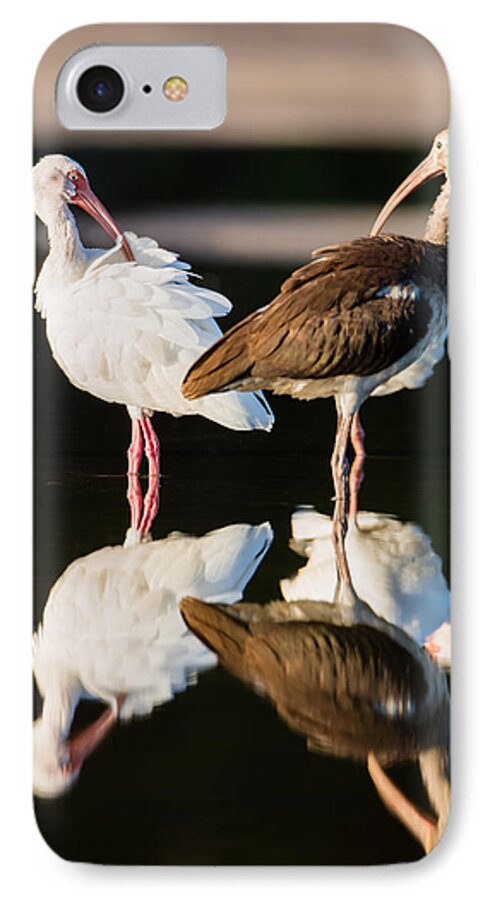 Adult iPhone 7 Case featuring the photograph Reflection of Two Young Ibis by Andres Leon
