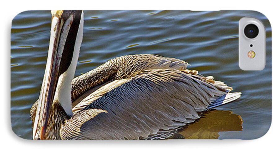 Tarpon Springs iPhone 7 Case featuring the photograph Reflective Pelican by Alice Mainville