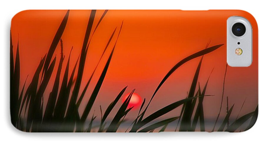 Ross Barnett Reservoir iPhone 7 Case featuring the photograph Reservoir Sunset by Jim Albritton