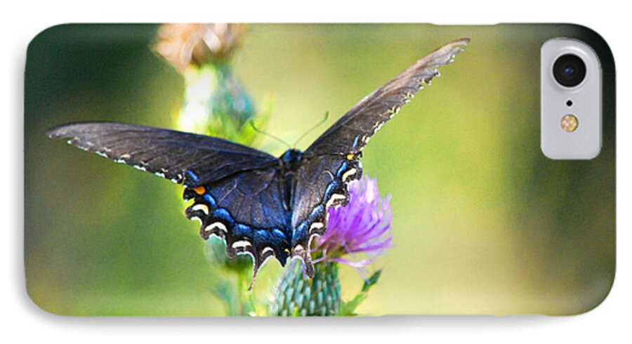 Butterfly iPhone 7 Case featuring the photograph Resting by Linda Segerson