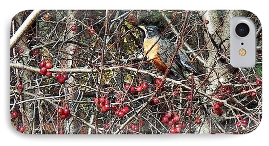 Robin In The Crab Apple Trees iPhone 7 Case featuring the photograph Robin in the Crab Apple Trees by Joy Nichols