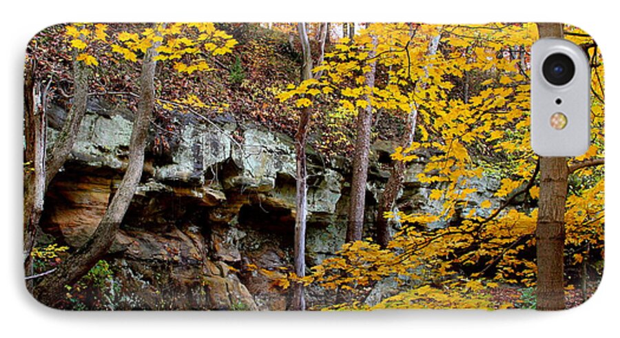Landscape iPhone 7 Case featuring the photograph Rock Fall Gorge by Virginia Folkman