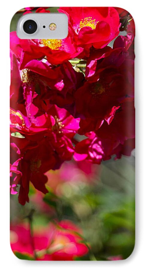 Roses iPhone 7 Case featuring the photograph Rose Bouquet by Michele Myers